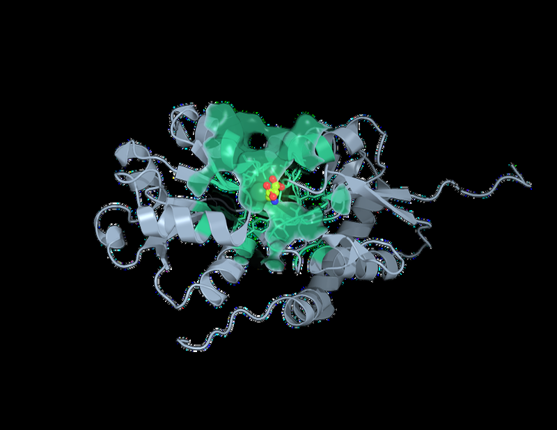 GLR3.4 target protein with ligand bound